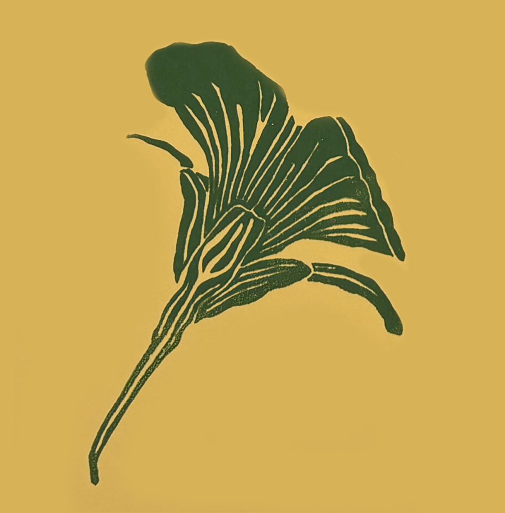 Yellow Nasturtium Screenprint Detail
